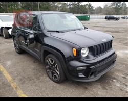 جيب رينيجيد